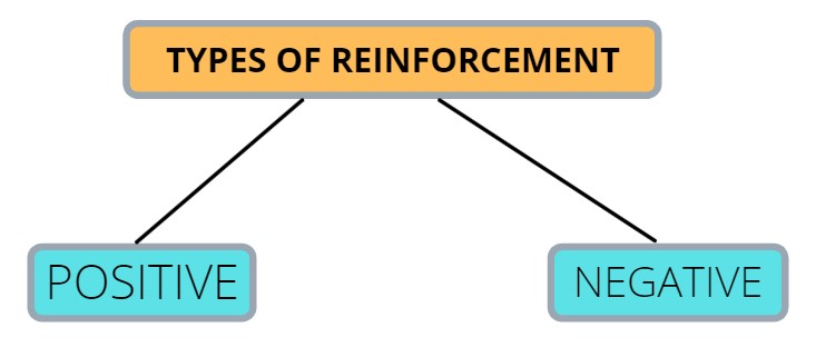 reinforcement learning types