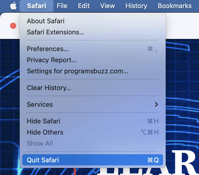 Safari Could not start a new session
