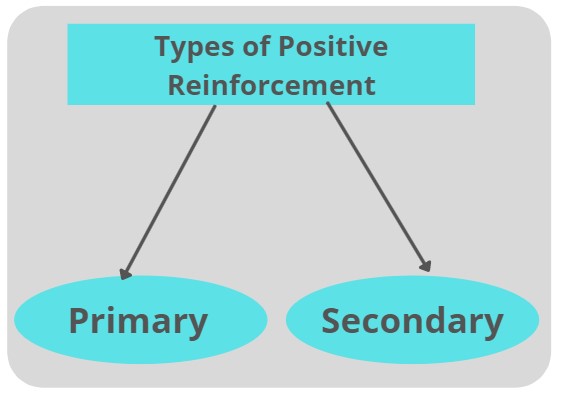 Types of reinforcement learning